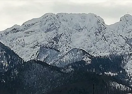 Проживание в семье W Centrum 